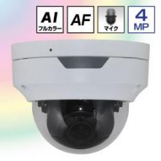 AI画像処理 24Hフルカラー ネットワーク ドームカメラ