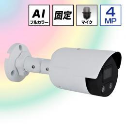4.0MP POE対応 AI画像処理 24Hカラー フラッシュライト付 ネットワークカメラ
