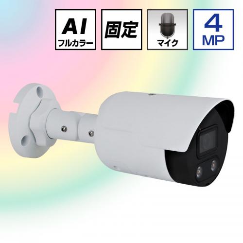 4.0MP POE対応 AI画像処理 24Hカラー フラッシュライト付 ネットワークカメラ